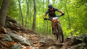 Mountain Biking